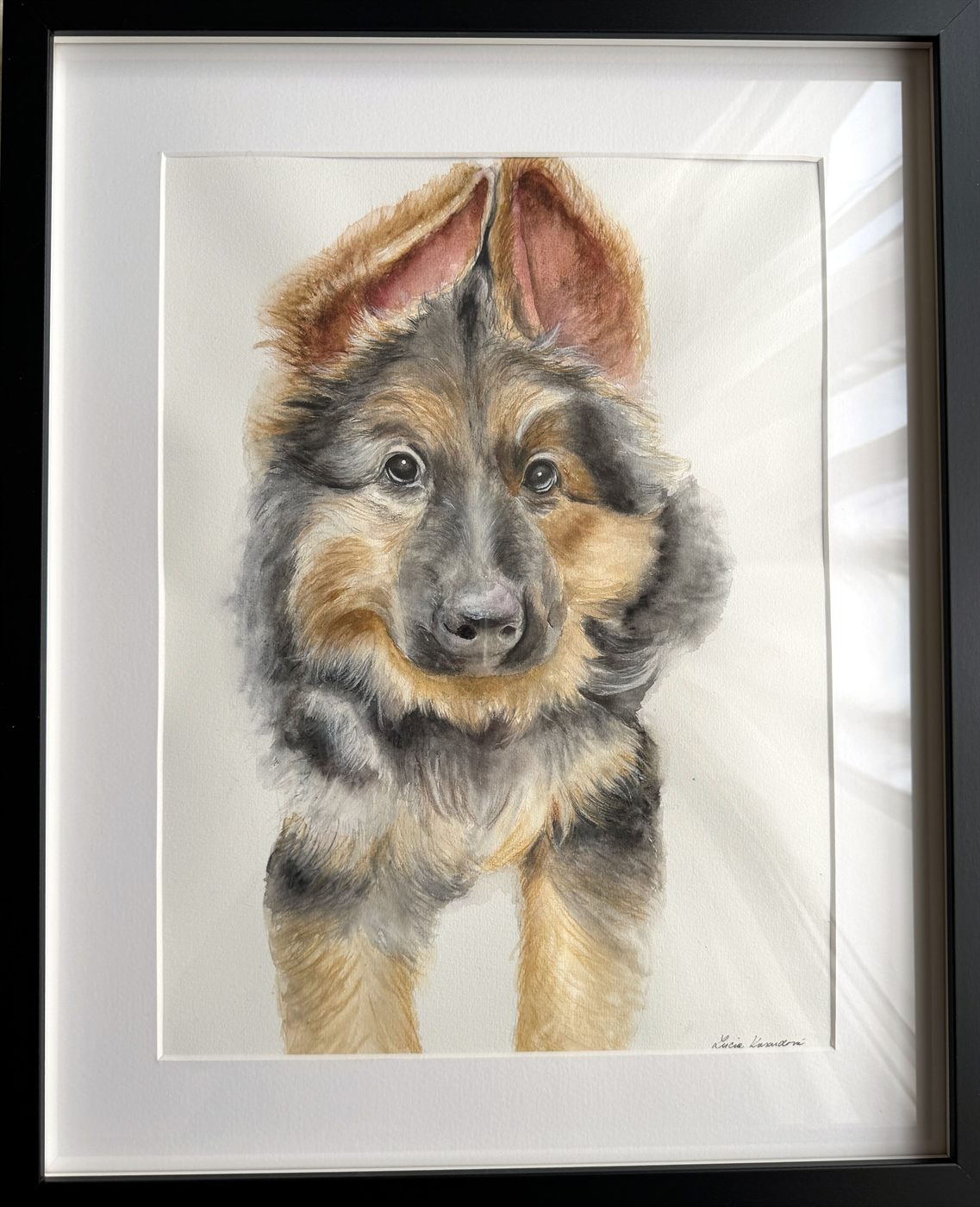 Hand painted dog portrait from photo