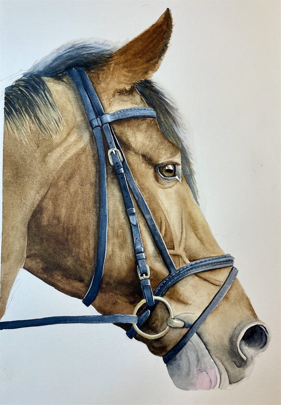 A3 custom animal portrait pricing example