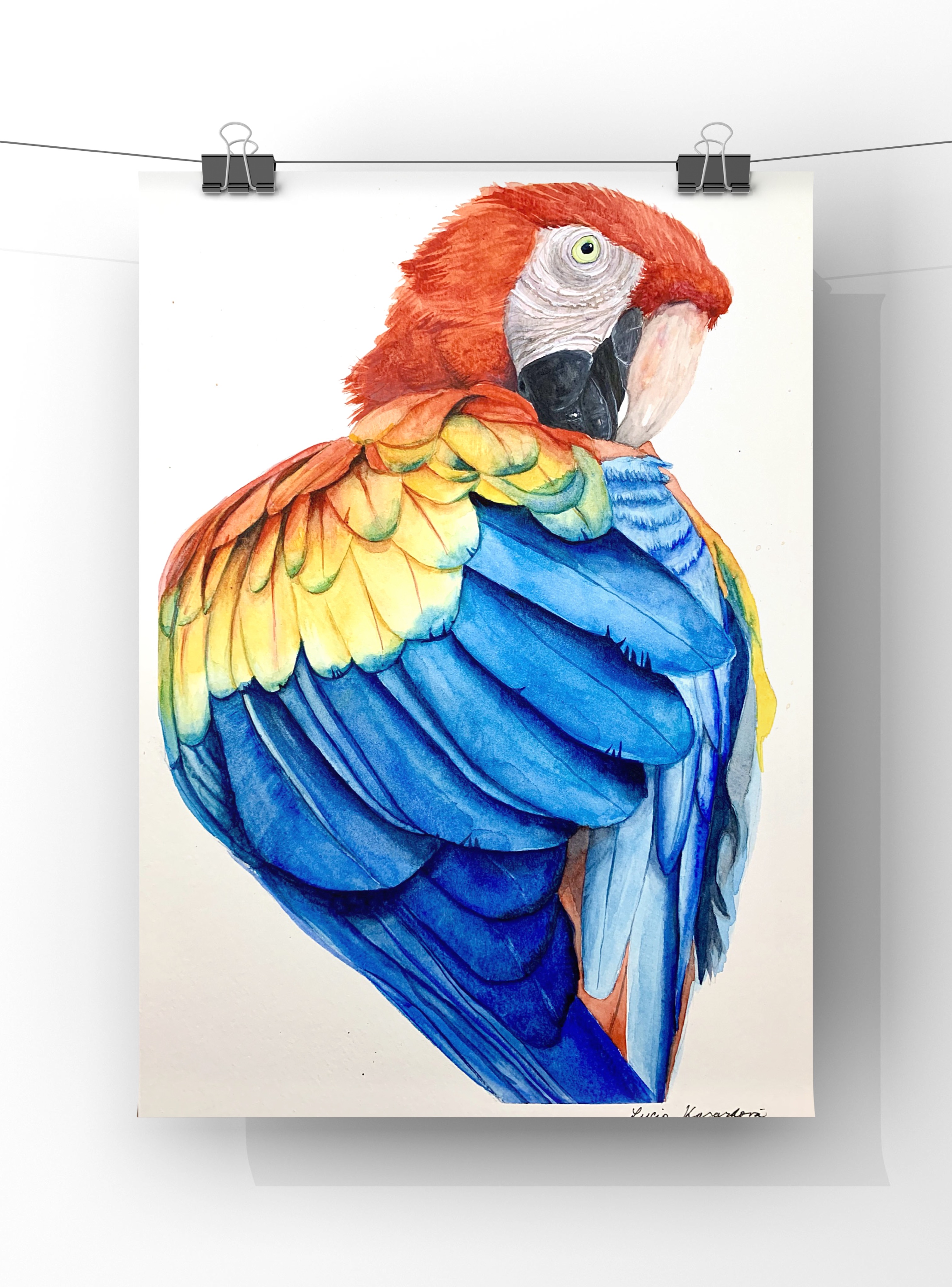 Wildlife Art